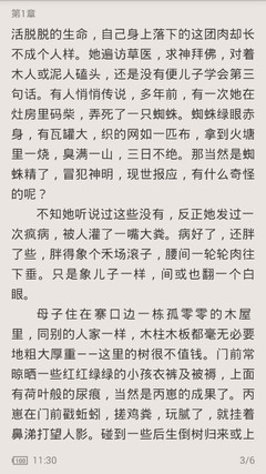 菲律宾开设公司需要办理什么签证，移民能在菲律宾开设公司吗